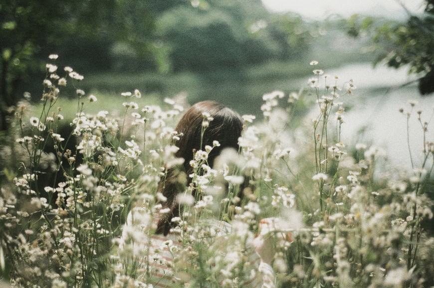 li_hui_hidden_daisy