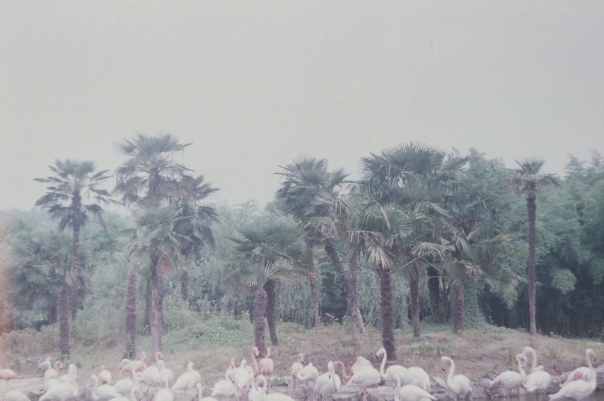 li_hui_hidden_island