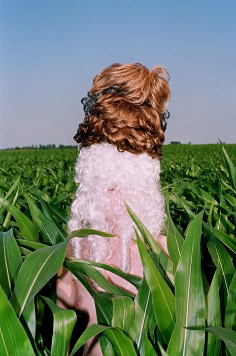 Animalism_Naturalism_by_Synchrodogs_8_