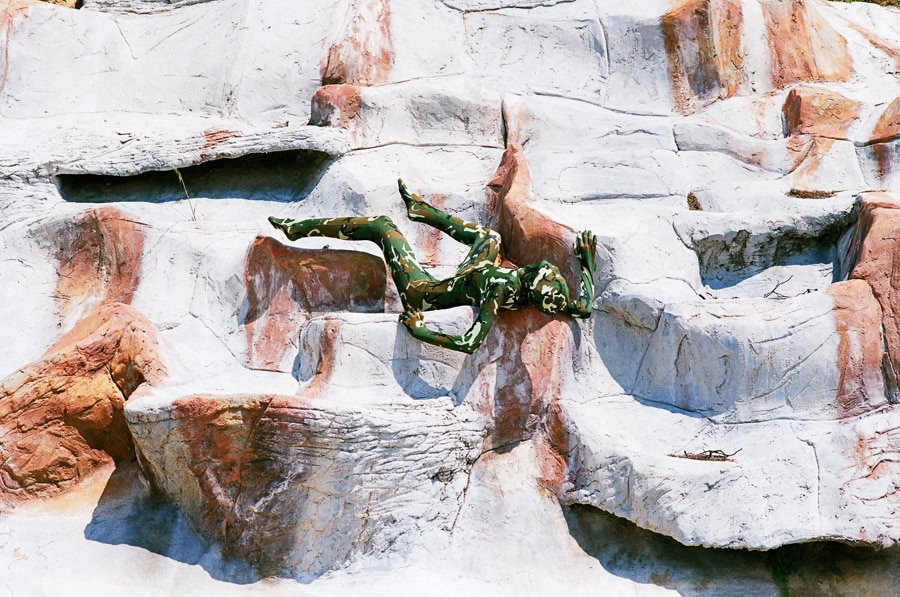 Synchrodogs_Animalism-Naturalism_2_web_1000