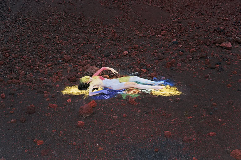 synchrodogs_reverie_sleep_13_780_1000