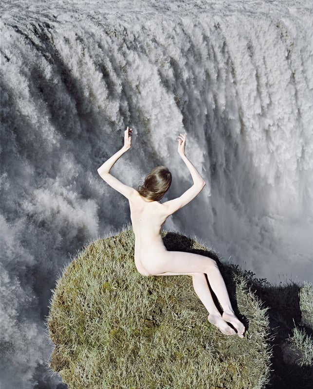 synchrodogs_reverie_sleep_2_800