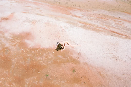 synchrodogs_reverie_sleep_7_510