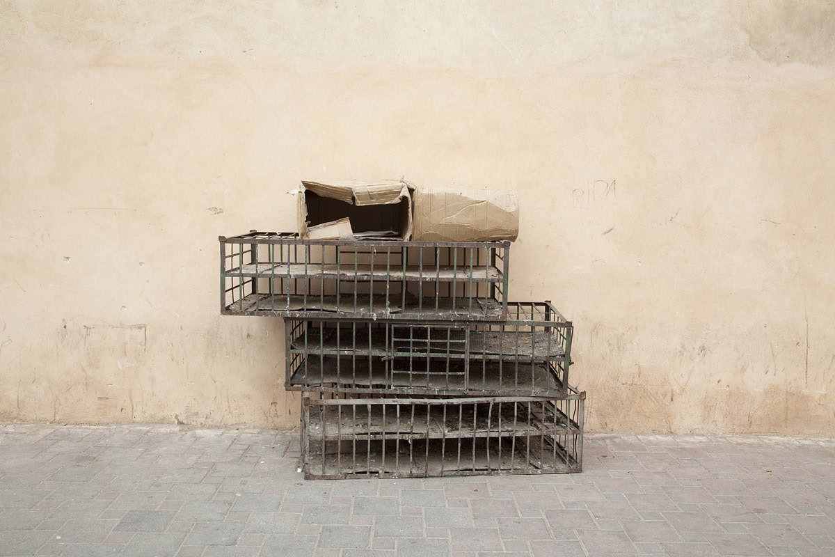 11 The other side of no Side Angela Sairaf