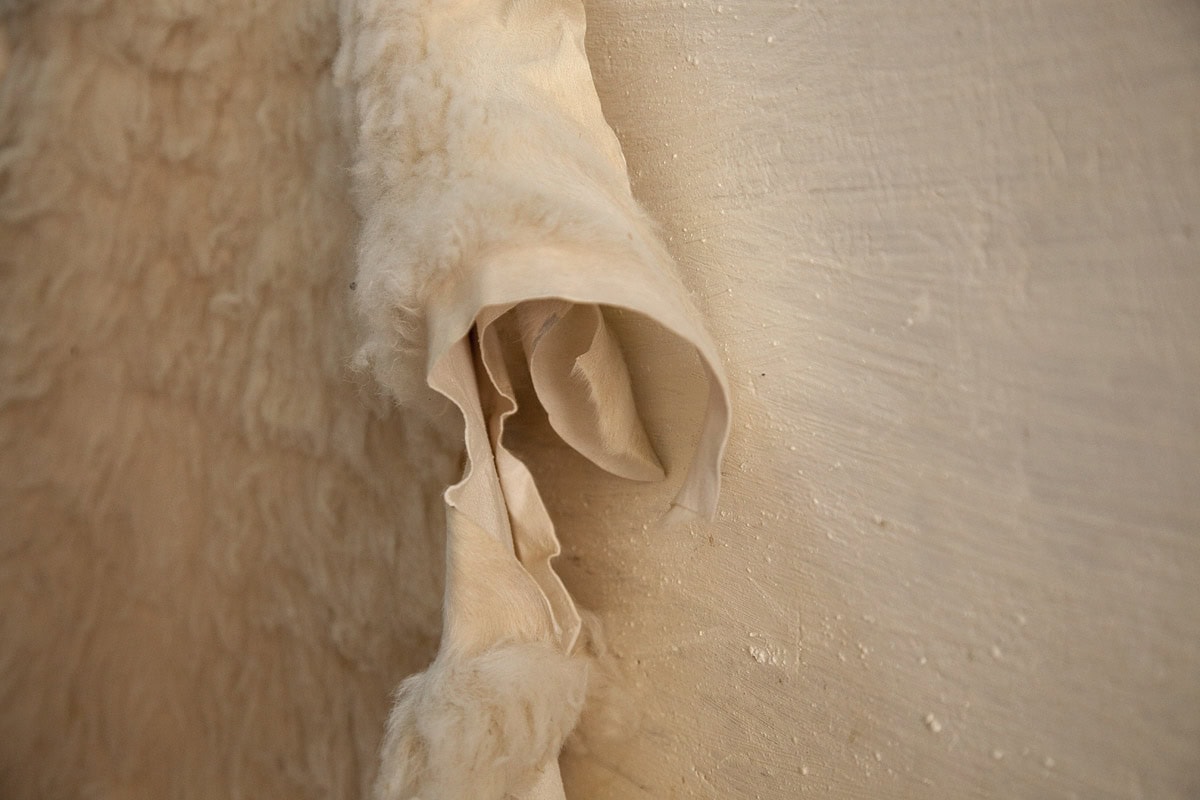 20 The other side of no Side Angela Sairaf