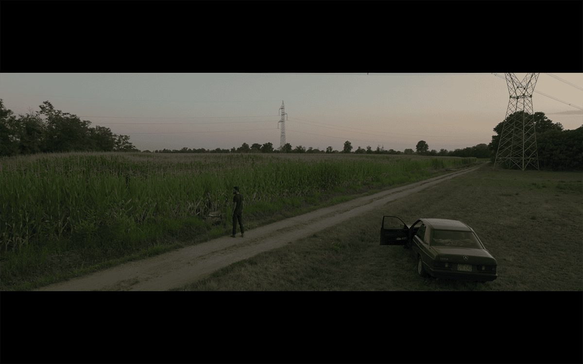 47-Samen-Phaos-05