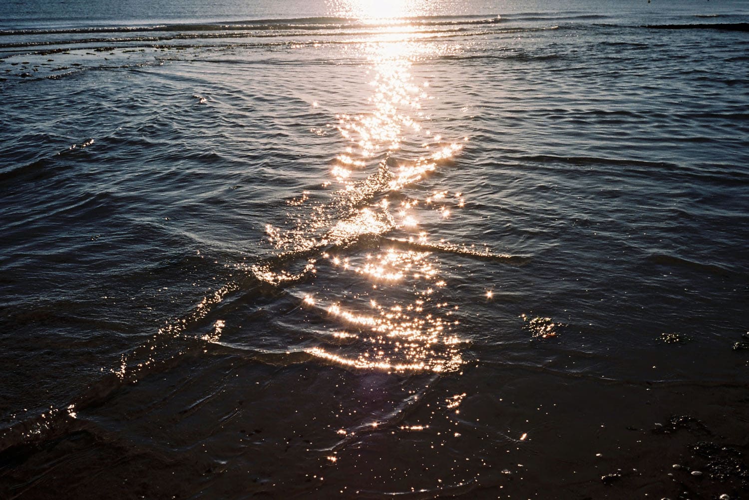 Sea-sparkles1BLUE.jpg