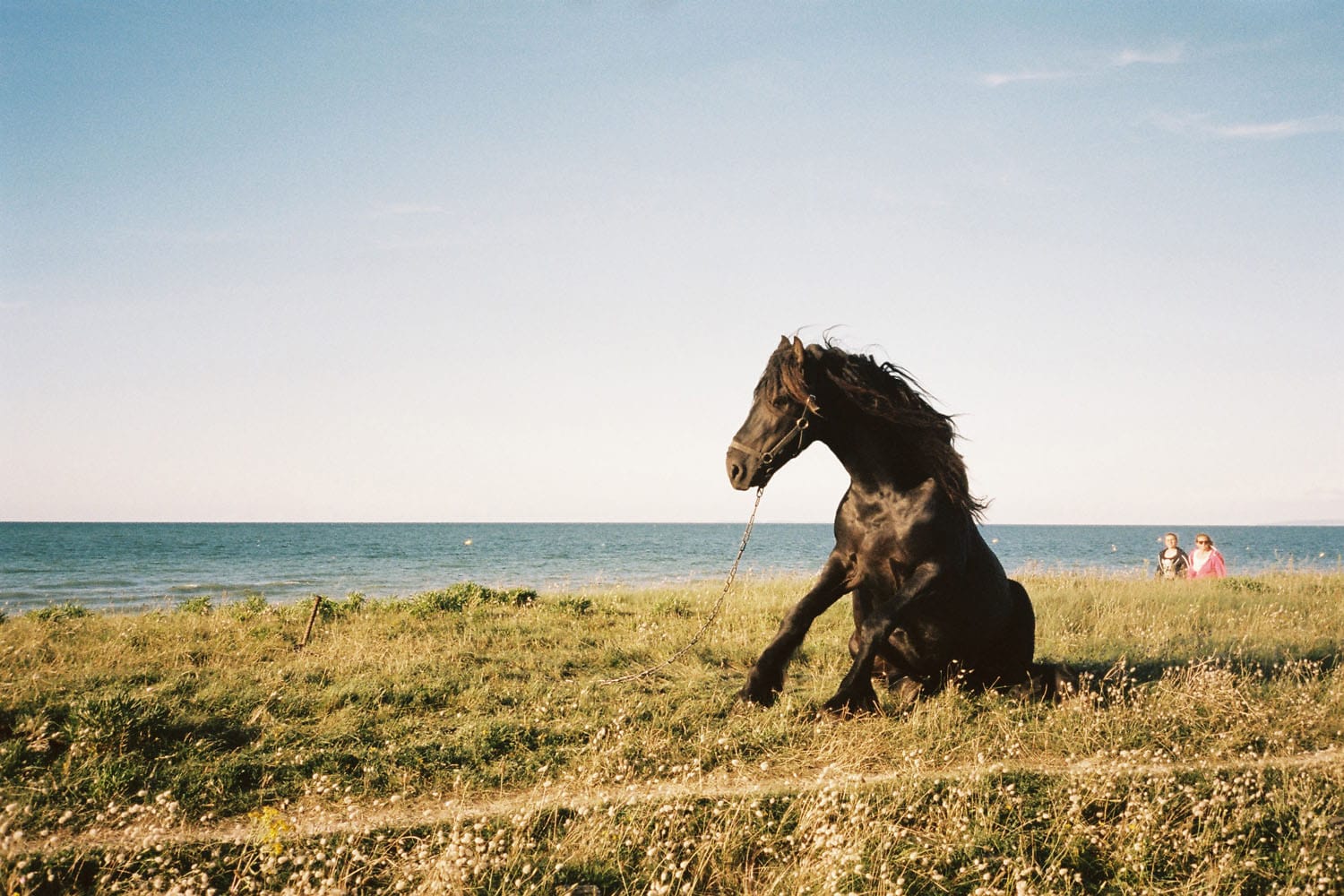 horse-women-original.JPG
