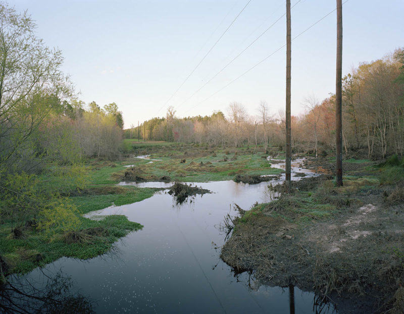 Stephen Milner Ogeechee 07