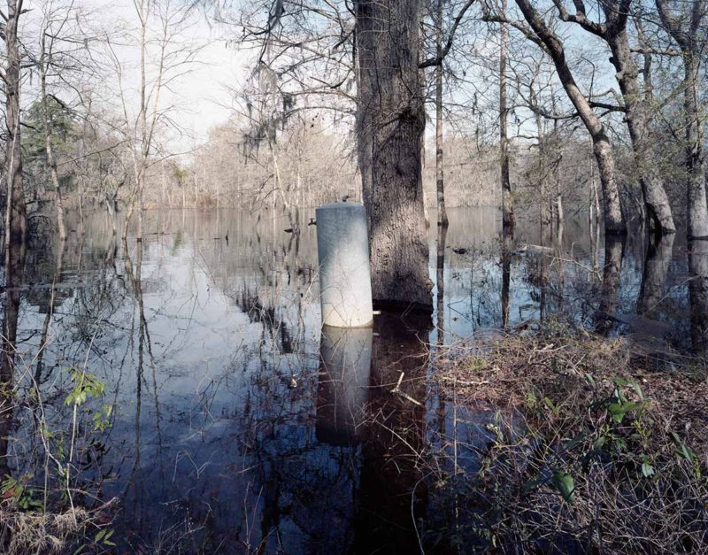 Stephen Milner Ogeechee 12