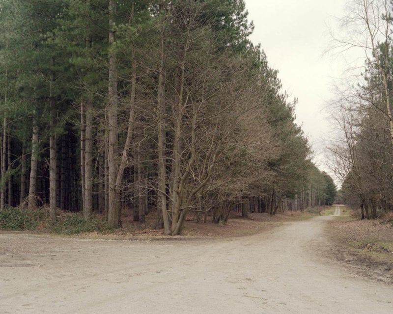 Joe Reddy Above The Pines 04