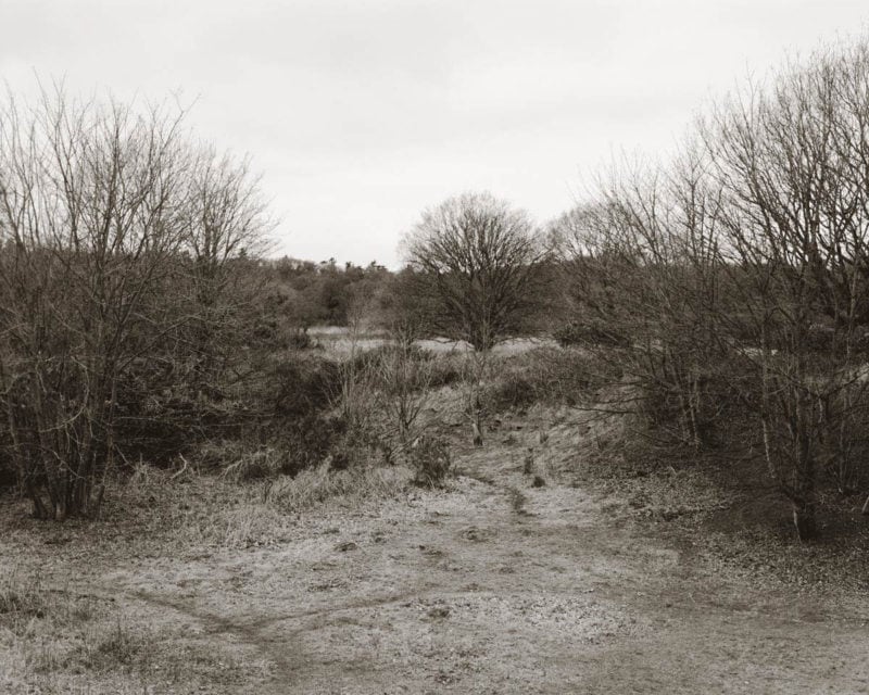 Joe Reddy - Above The Pines 07