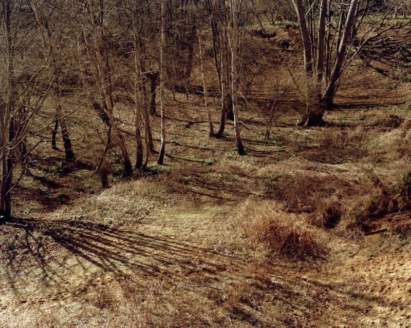 Joe Reddy - Above The Pines 08