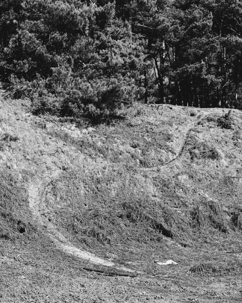 Joe Reddy - Above The Pines 13