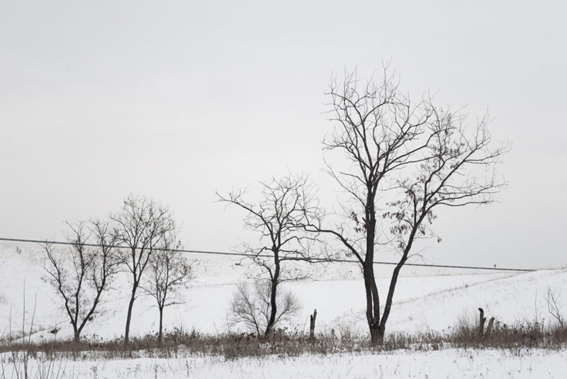 Evgeniy Stepanets Not Promised Land 06