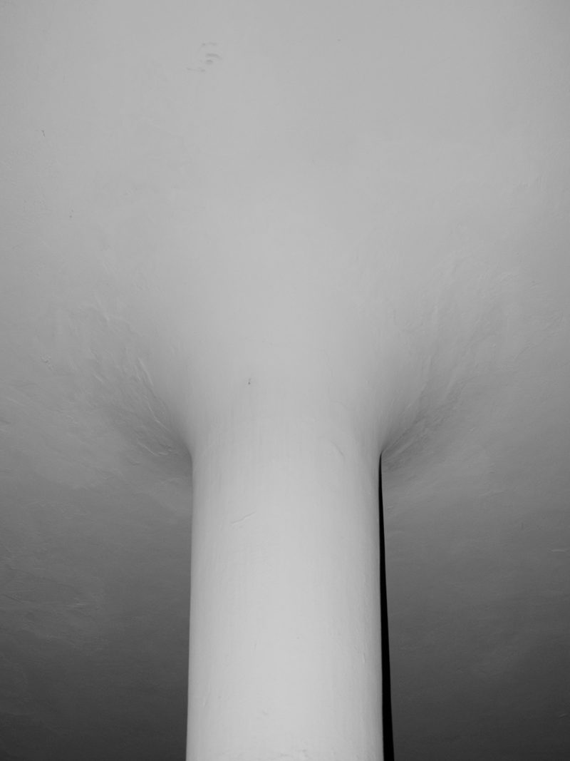 Fabrizio Albertini Radici 03
