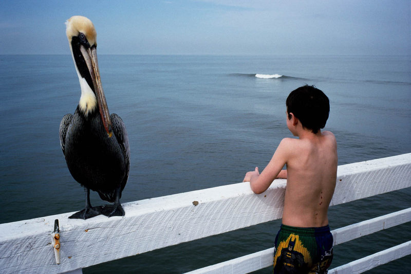 Constantine Manos American Color 18