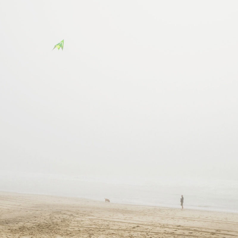 David Behar Fog 03