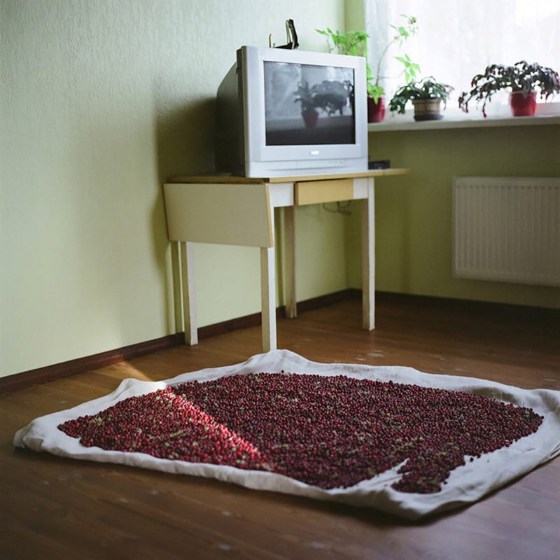 Elina Ruka Domesticities 07
