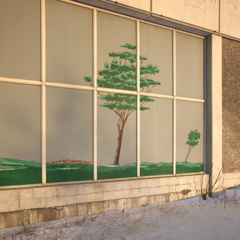 Marc Sullivan Plantae Animalia 07