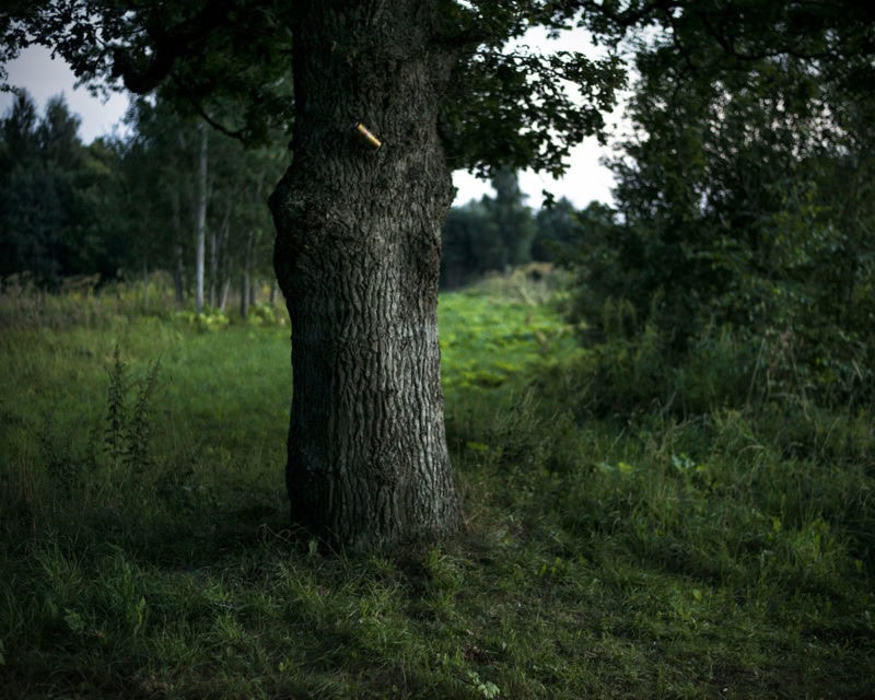 Volkan Kiziltunc Last Boys In The Wood 04