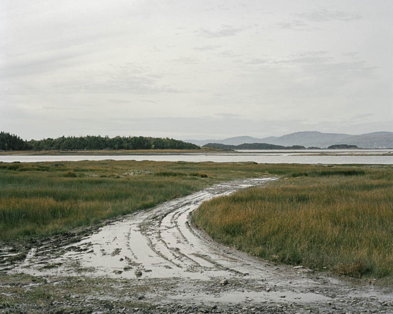 Catherine Canac Marquis The Migratory Birds 09