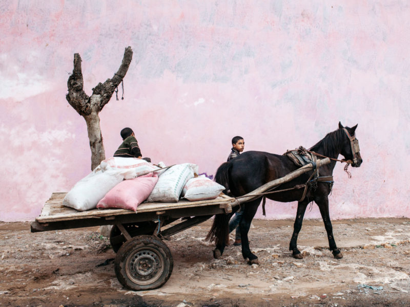 L'apparition D'un Lointain Si Proche / So Far Away, Yet So Close (Maroc 2009 2016)