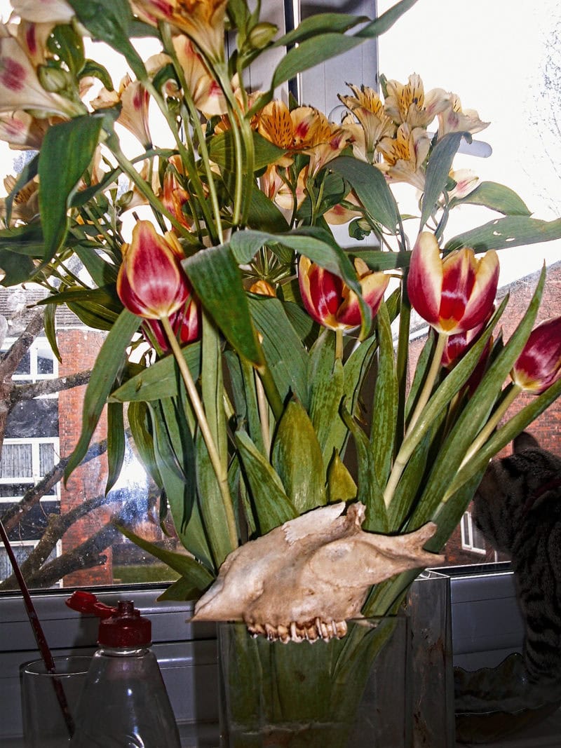 Bones Breed Flowers