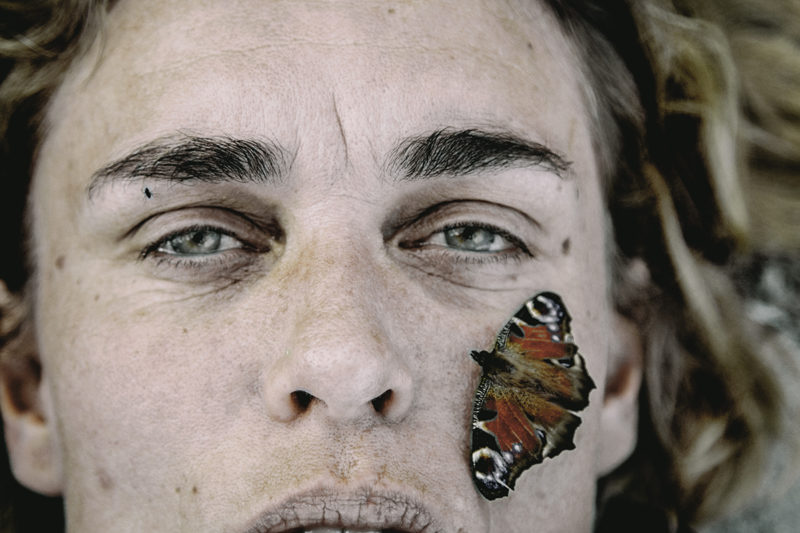Line&Butterfly