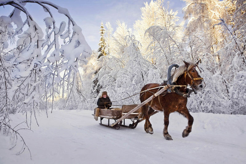 Budushee Zukunft , Ein Dorf Zwischen Moskau Und St. Petersburg Im Winter