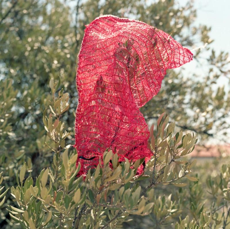 Sakellaraki Ioanna 09