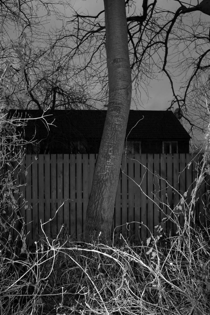 JAMIE HLADKY M14 To Hough End Clough 04 1200px