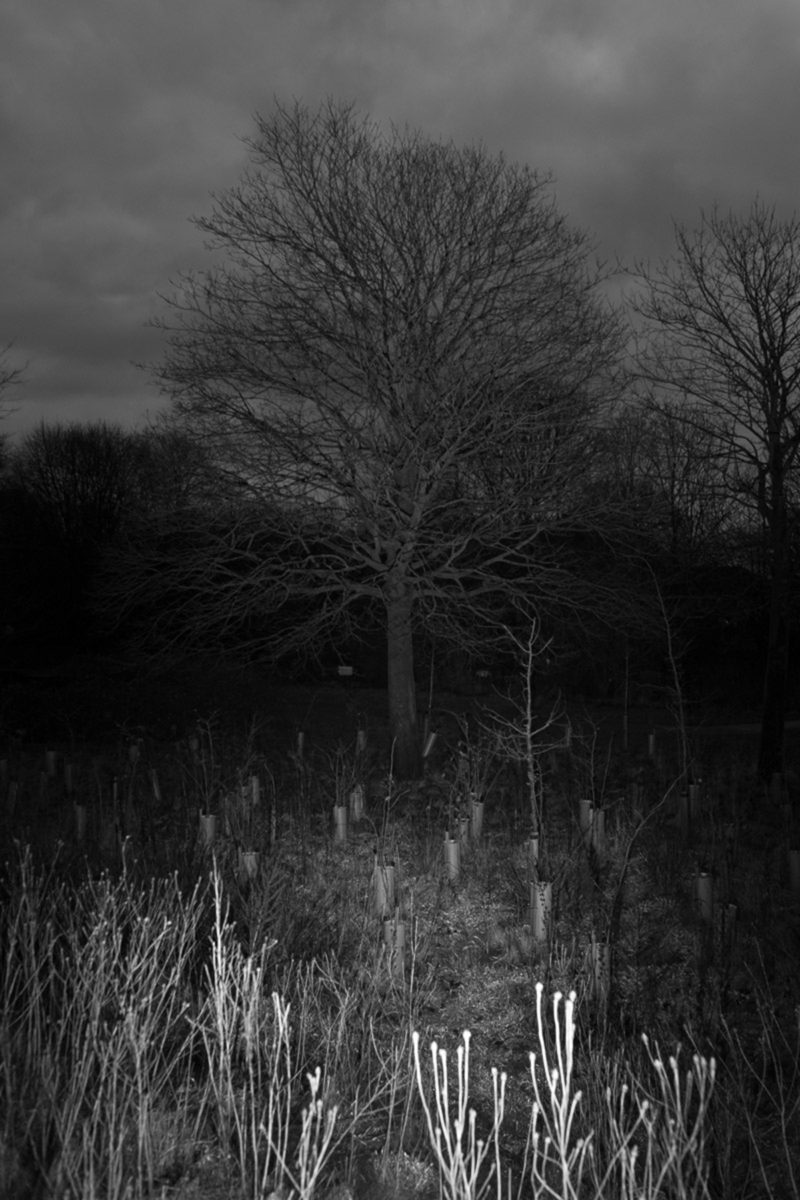JAMIE HLADKY M14 To Hough End Clough 18 1200px