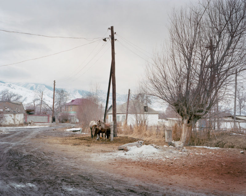© Elliott Verdier 5