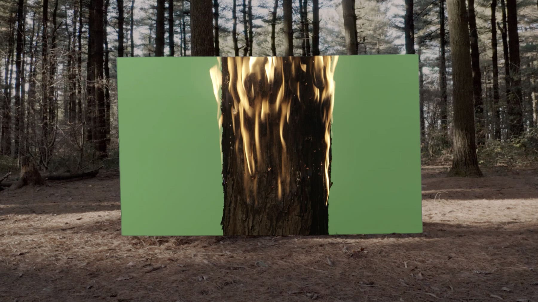 Formafantasma Cambio Video By C41 00002