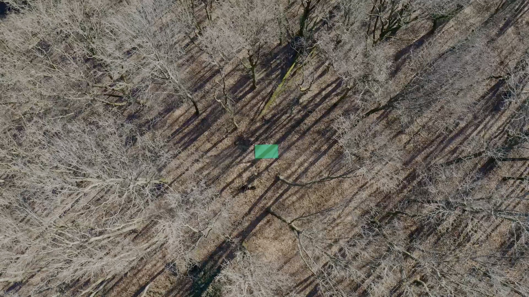 Formafantasma Cambio Video By C41 00003