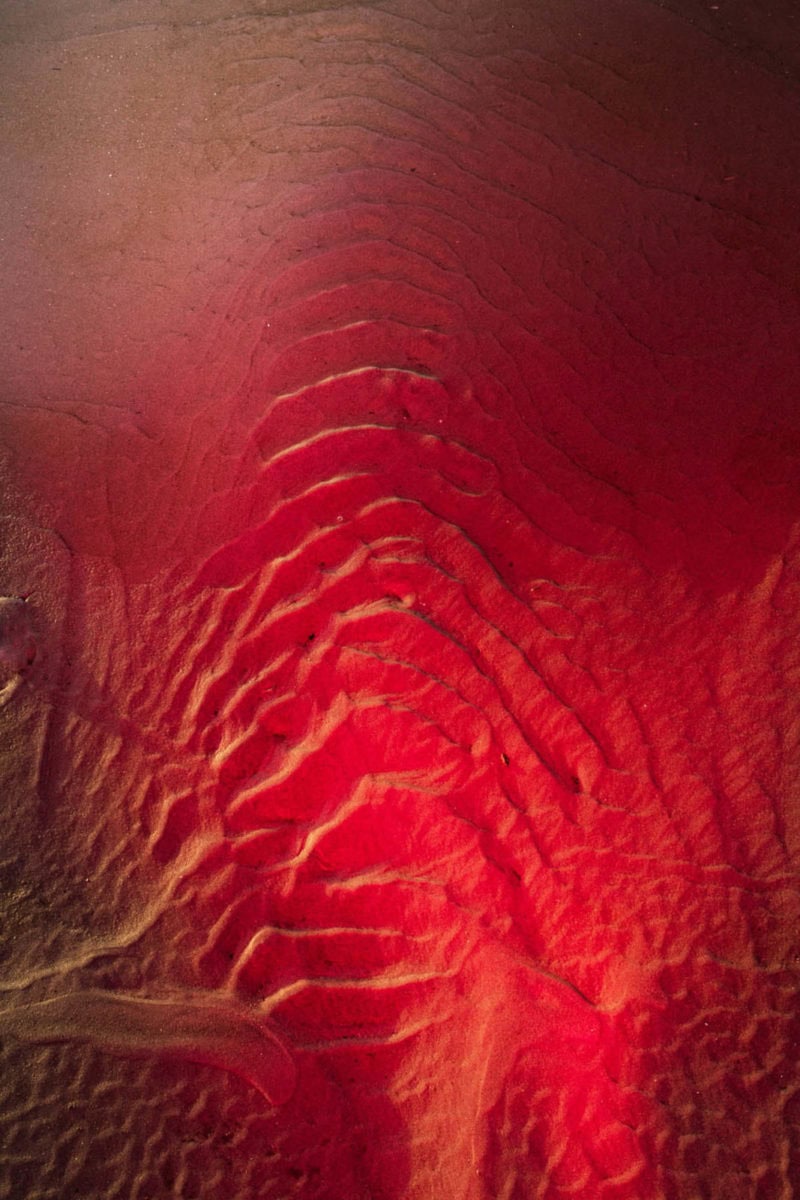 Michael Marcelle Red Strawberry II 14