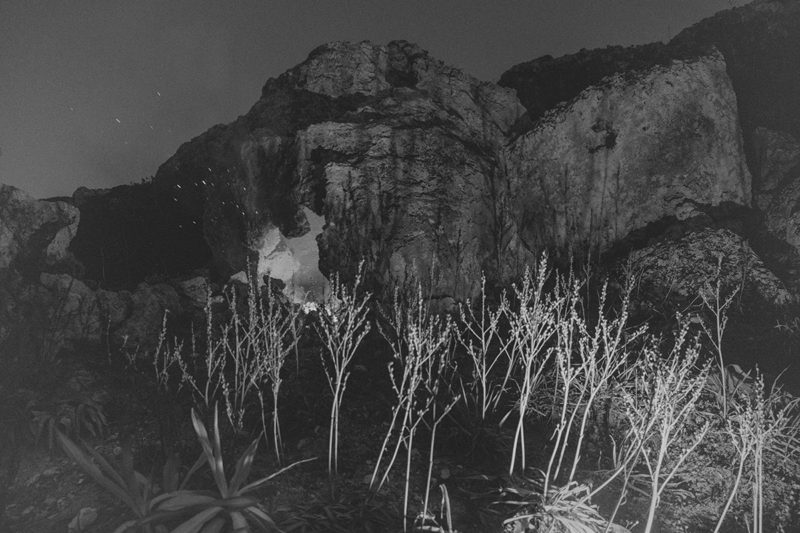 Yorgos Yatromanolakis (8)