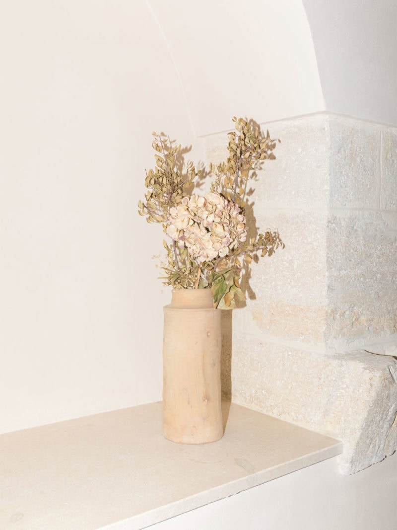 Fontana Di Vite C41 Magazine Issue 8 Memory 2
