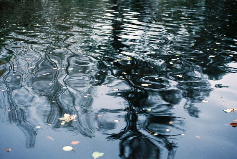 Francesca McColl Wild Women Water Ripples 6