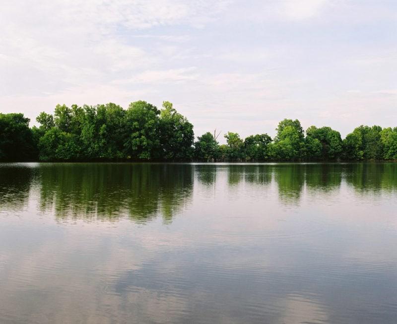 Desriaux The Passengers Of The Mississippi C41 Submission 15