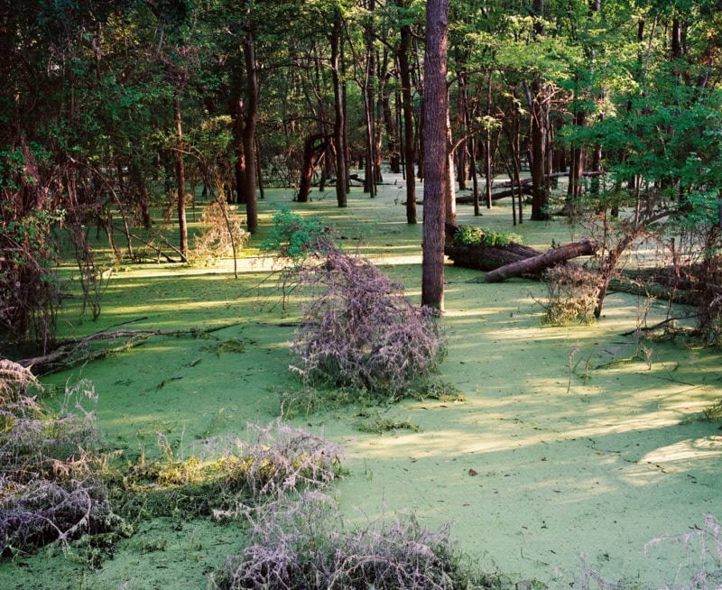Desriaux The Passengers Of The Mississippi C41 Submission 18