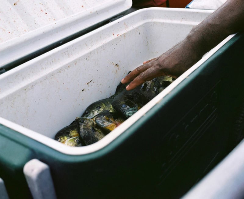 Desriaux The Passengers Of The Mississippi C41 Submission 25