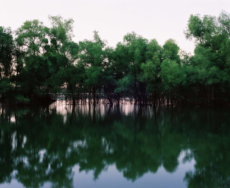Desriaux The Passengers Of The Mississippi C41 Submission 40