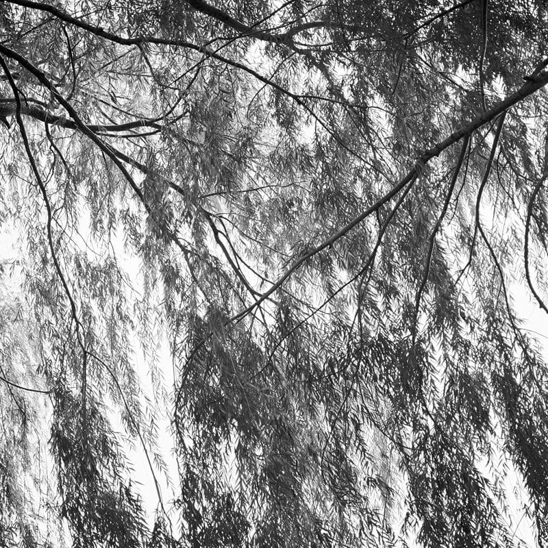 Michael Vallera Clean And Silent Weather C41 Submission 1