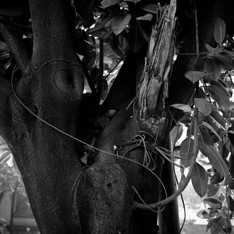 Michael Vallera Clean And Silent Weather C41 Submission 3