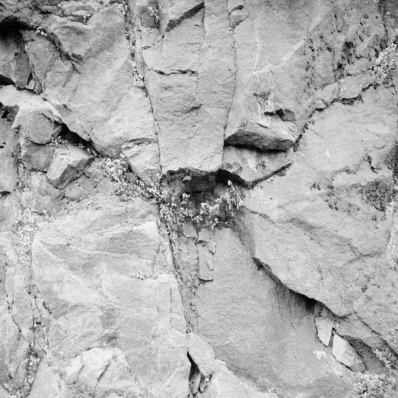 Michael Vallera Clean And Silent Weather C41 Submission 5