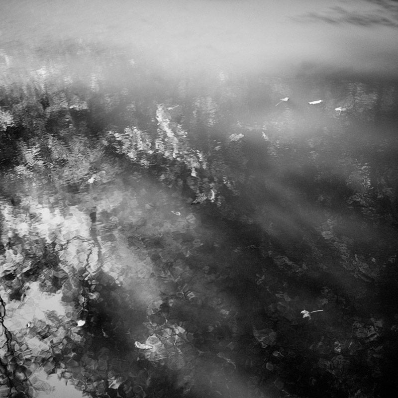 Michael Vallera Clean And Silent Weather C41 Submission 6