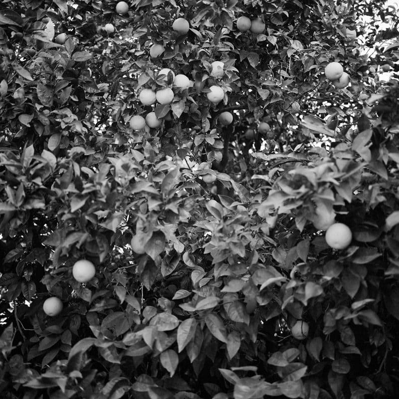 Michael Vallera Clean And Silent Weather C41 Submission 8