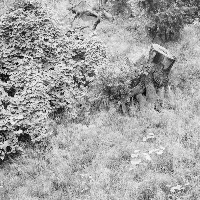 Michael Vallera Clean And Silent Weather C41 Submission 9